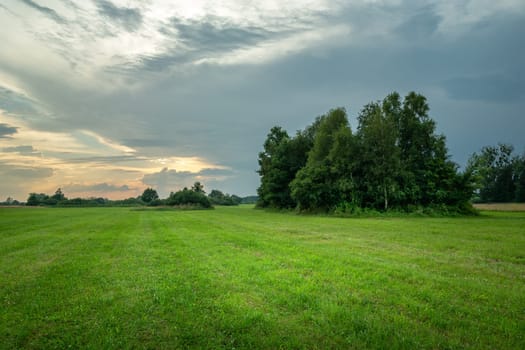 Green meadow with trees and cloudy evening sky, Nowiny, Poland