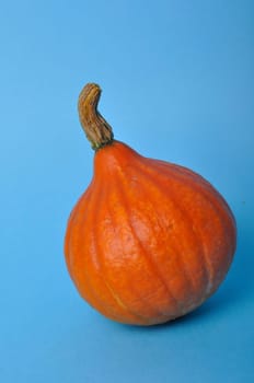 pumpkin on a blue background