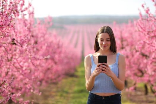 Woman walking in a field using smart phone