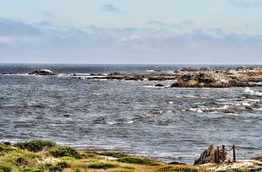 Pacific Ocean Asilomar State Marine Reserve Monterey California