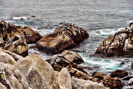 Pacific Ocean Asilomar State Marine Reserve Monterey California