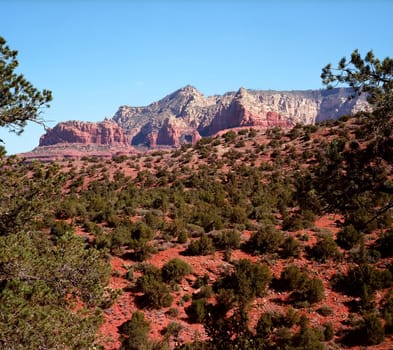 Red Rock of Sedona Arizona in the morning light