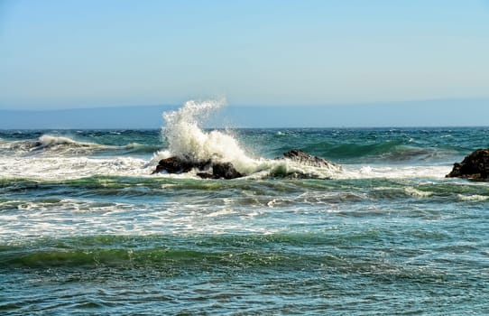Pacific Ocean Asilomar State Marine Reserve California