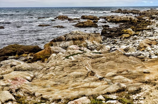 Pacific Ocean Asilomar State Marine Reserve California