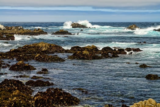 Pacific Ocean Asilomar State Marine Reserve Monterey California