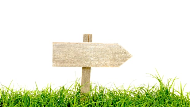Rustic empty Signpost with green grass