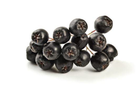 Detail on aronia (Chokeberry) fruits with stem, isolated on white background