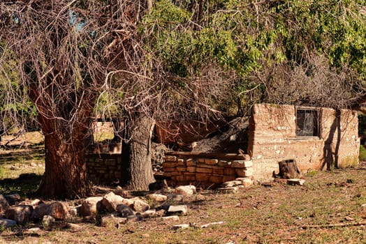 Ruins of old abandoned house in middle of forest
