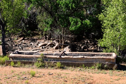 Old concrete water trough in the northern Arizona forest
