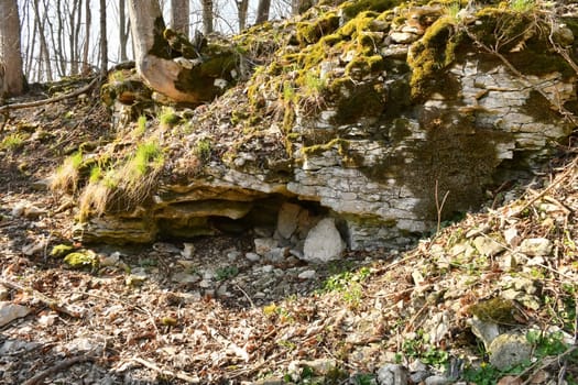 Remains of a medieval castle in Germany