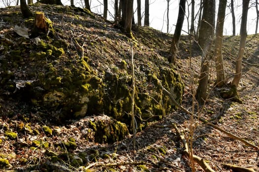 Remains of a medieval castle in Germany