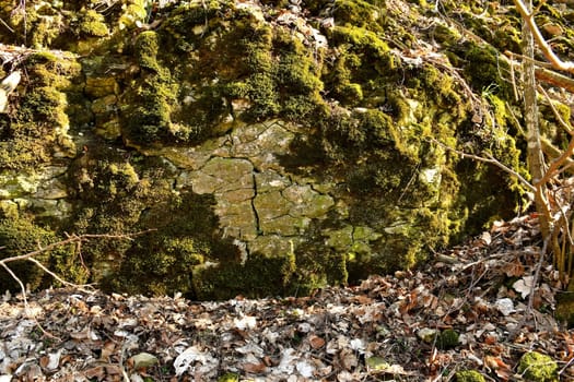 Remains of a medieval castle in Germany