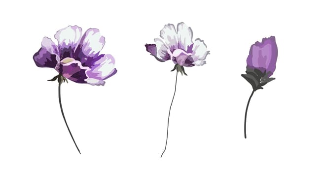 Flowers elements. Flowers isolated on white background. Violet. Vector illustration.