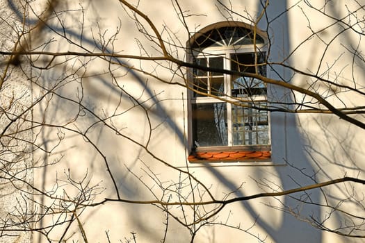 window of an old chapel with shadows of tree branches