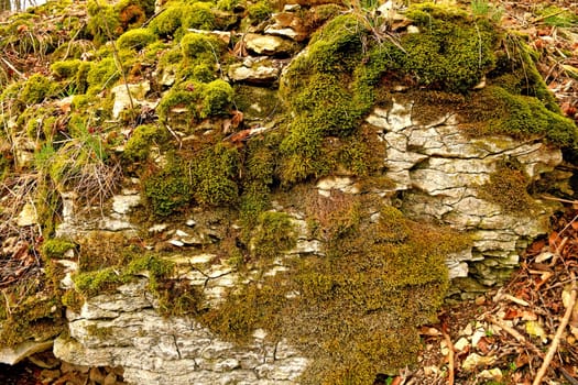 Remains of a medieval castle in Germany