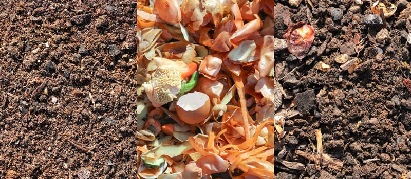 From raw fruit and vegetable scraps to finished compost.