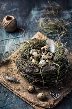 Nest with quail eggs for Easter and blooming branches on black background
