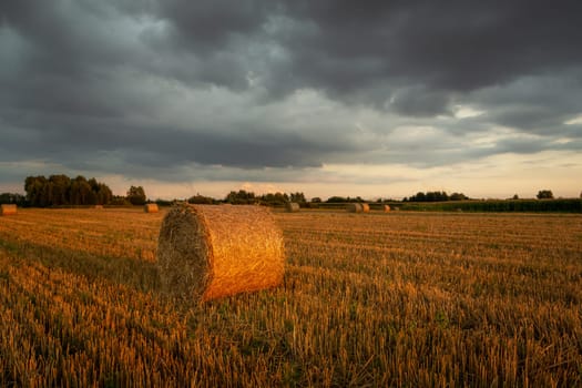 Round hay bale in the field and cloudy evening sky