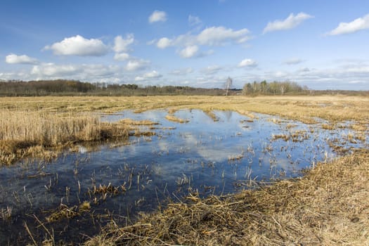 Frozen water in a large meadow and clouds in the sky, winter day