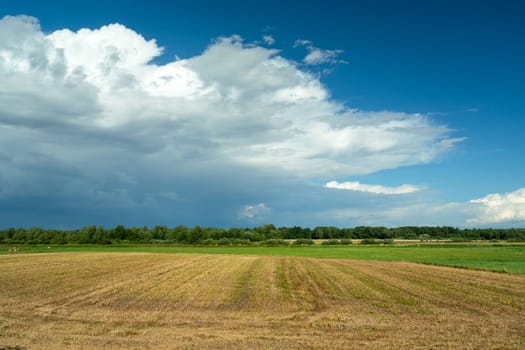 Stubble and a large cloud on the blue sky, Czulczyce, Poland