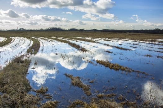 Water in the large meadow and clouds in the sky, Nowiny, Poland