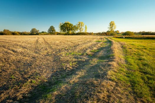 The path between the stubble and the green meadow, Nowiny, Poland