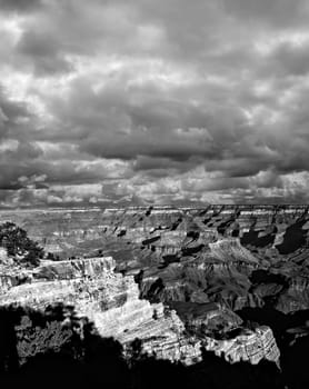 Black and white late afternoon in the Grand Canyon Arizona