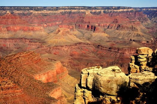 Early morning in the Grand Canyon Arizona.