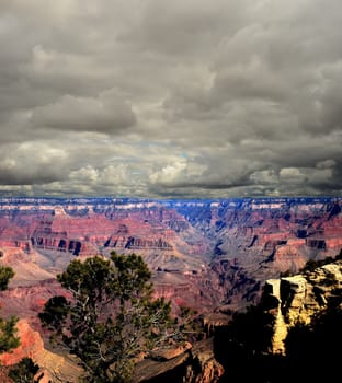 Late afternoon in the Grand Canyon Arizona