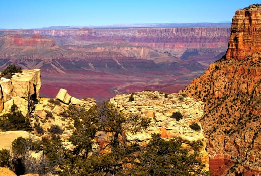 Late afternoon in the Grand Canyon Arizona