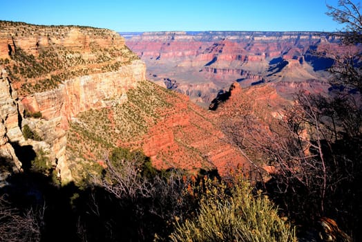 Early Morning in the Grand Canyon Arizona