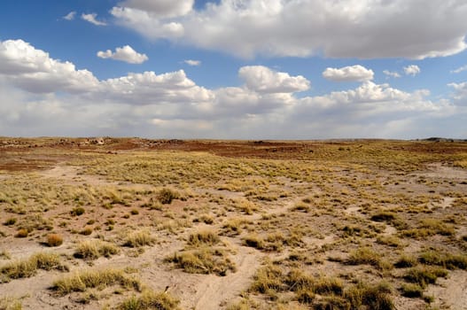 Scenic landscape of the ancient petrified forest in Arizona