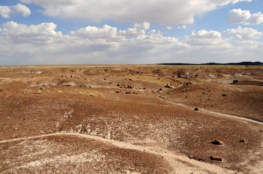 Scenic landscape of the ancient petrified forest in Arizona
