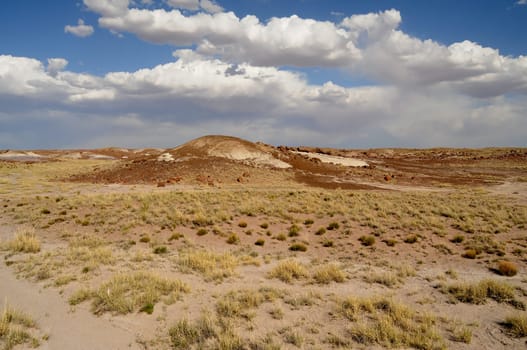 Scenic landscape of the ancient petrified forest in Arizona