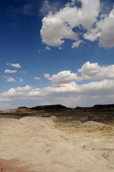 Scenic landscape of the ancient petrified forest in Arizona