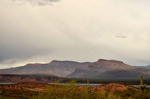 Mountain by Roosevelt lake in Central Arizona