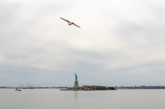 Seagull flying in front of Statue of Liberty, view from Staten island ferry, New York City, during winter day with overcast, horizontal