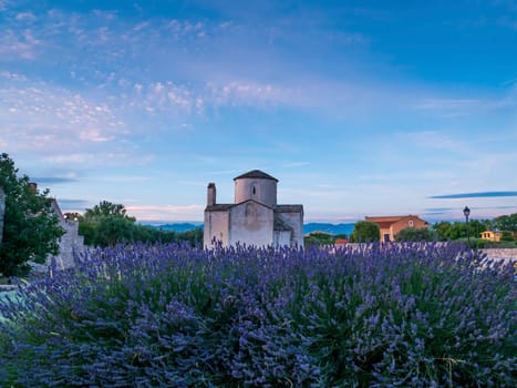 The Church of the Holy Cross, the smallest cathedral in the world, Nin, Croatia..Lavender field in front.