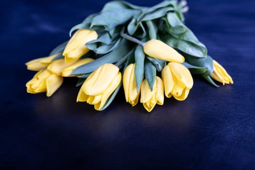 Beautiful yellow tulips on vintage blue background