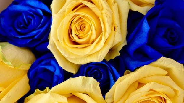 The background is yellow blue rose flowers, Ukrainian symbol of the flag. Close-up
