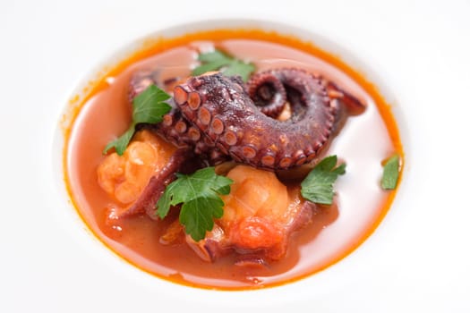 Octopus arm in tomato sauce with parsley from above