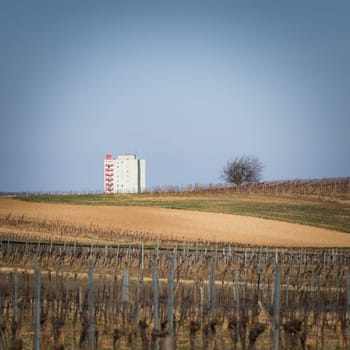 residential building of a city with vineyards in front