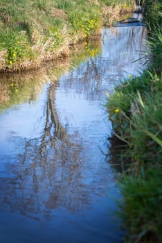 reflection of a tree at a small stream in spring