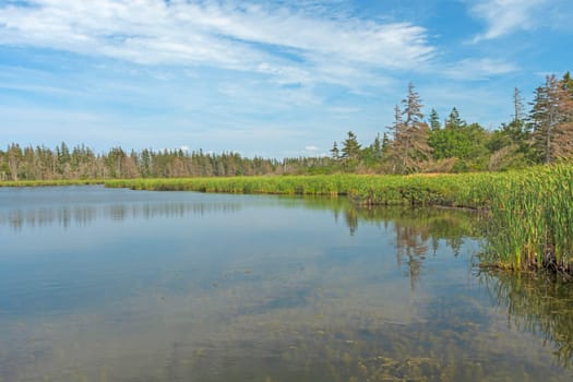 Quiet Day on Coastal Pond in Prince Edward Island National Park in Prince Edward Island in Canada