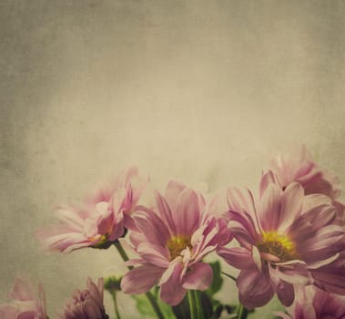 Beautiful pink flower on textured background