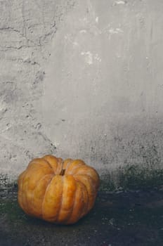 Halloween pumpkin in front of grunge wall