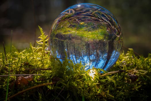 Nature glassball photography. Forest scene with lensball in moss. Beauty in nature.