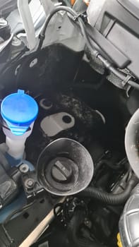 Mold in the engine compartment of a mobile home after a bad design of the drainage channel.Mold in the engine compartment of an RV