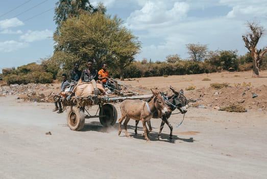 Oromia Region, Ethiopia - May 16, 2019: Ethiopian man sitting on a donkey-drawn carriage on the street. Oromia Region, Ethiopia, Africa