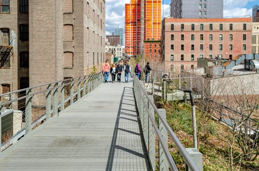 The High Line Park, New York City, Steel Bridge with People walking on it during cloudy winter day, meadow with trees next to the bridge, Office Buildings in the background, horizontal